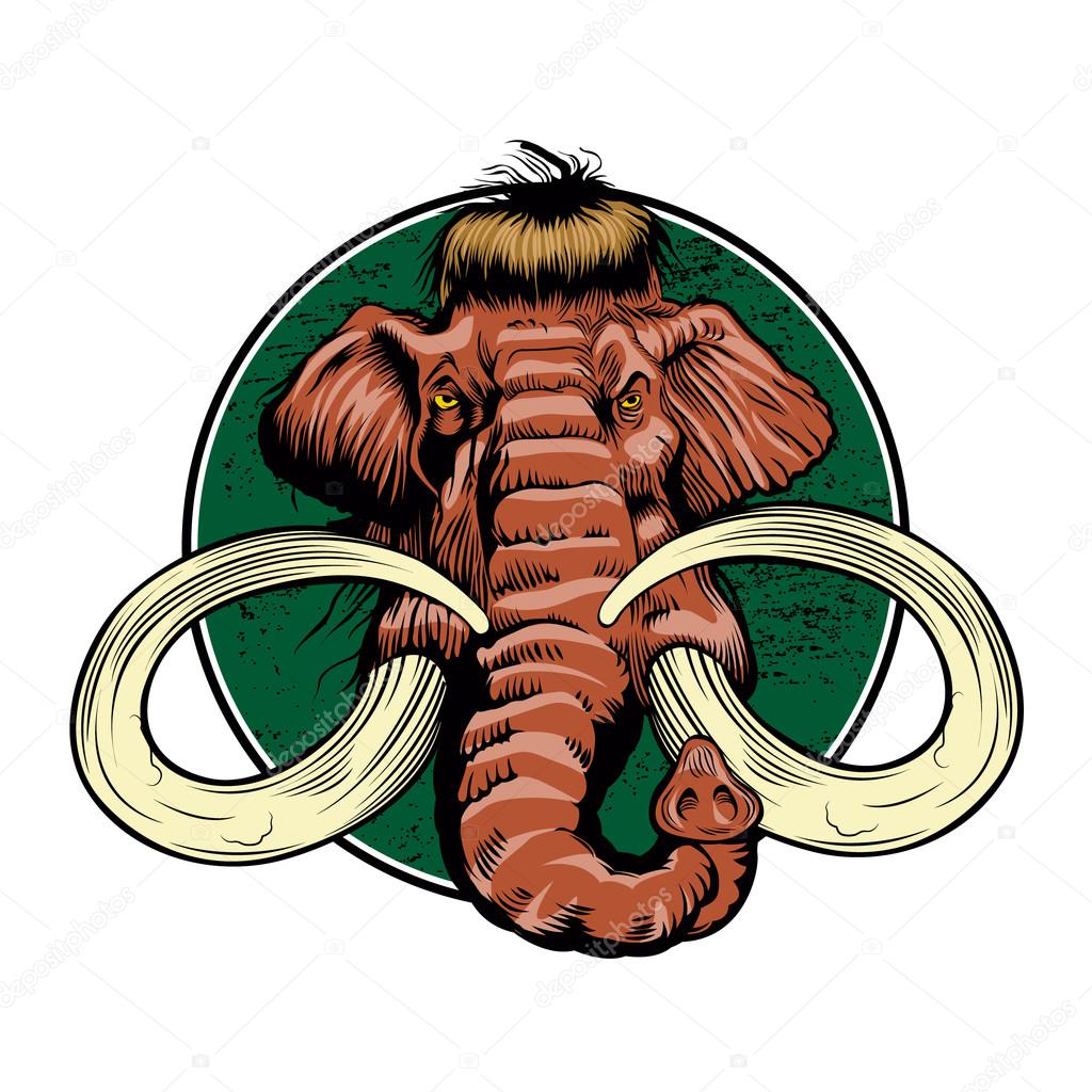 mammoth head,mammoth cartoon,mammoth illustration 